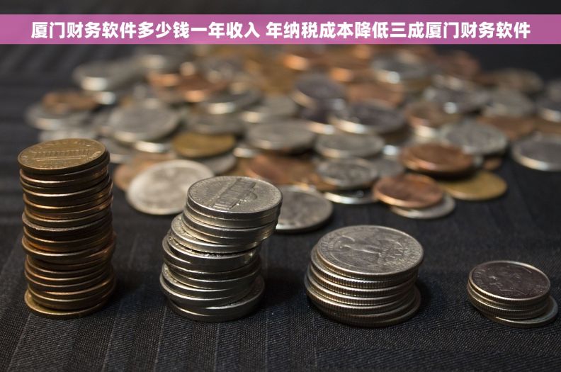 厦门财务软件多少钱一年收入 年纳税成本降低三成厦门财务软件