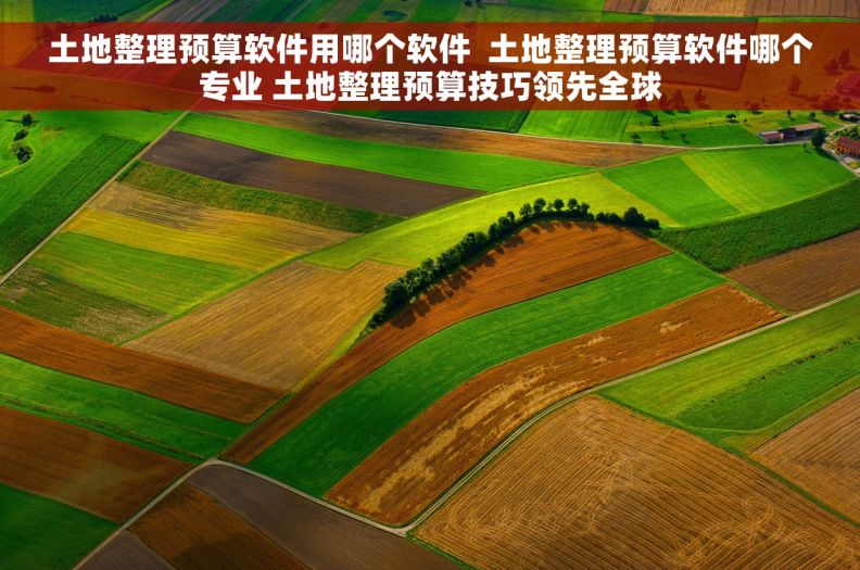 土地整理预算软件用哪个软件  土地整理预算软件哪个专业 土地整理预算技巧领先全球