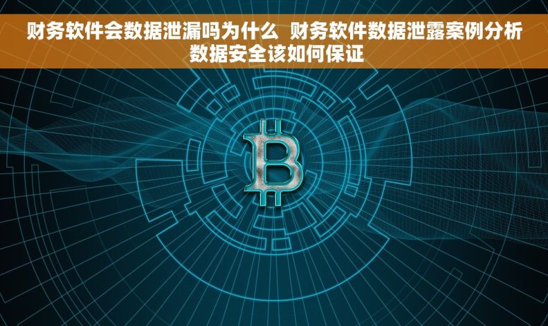 财务软件会数据泄漏吗为什么  财务软件数据泄露案例分析 数据安全该如何保证