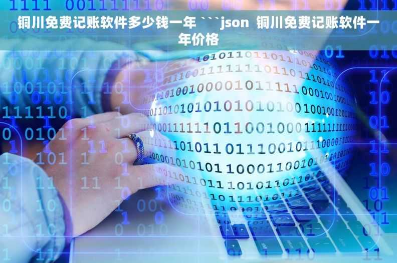 铜川免费记账软件多少钱一年 ```json  铜川免费记账软件一年价格