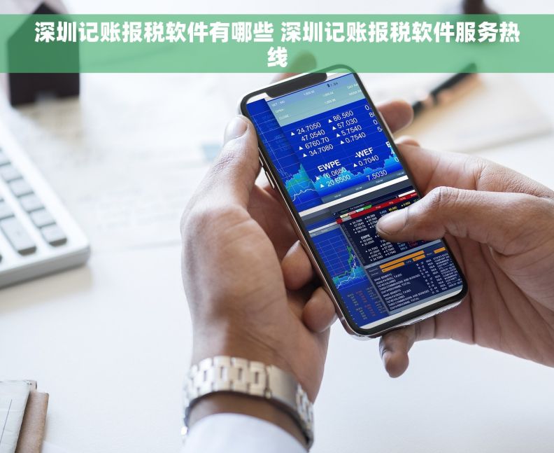 深圳记账报税软件有哪些 深圳记账报税软件服务热线