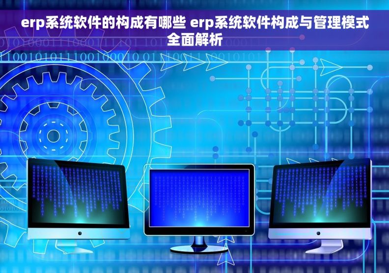 erp系统软件的构成有哪些 erp系统软件构成与管理模式全面解析