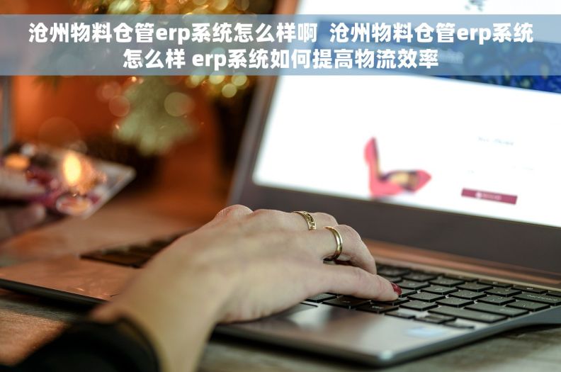 沧州物料仓管erp系统怎么样啊  沧州物料仓管erp系统怎么样 erp系统如何提高物流效率