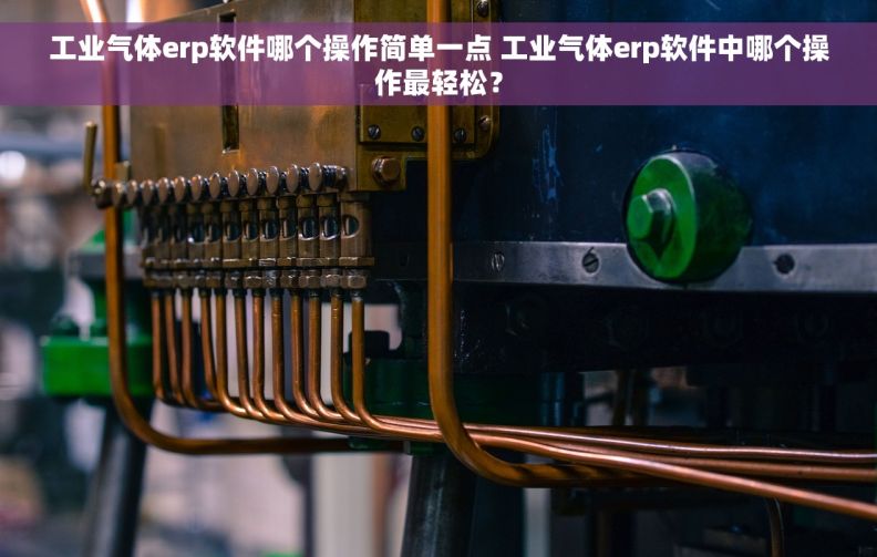 工业气体erp软件哪个操作简单一点 工业气体erp软件中哪个操作最轻松？