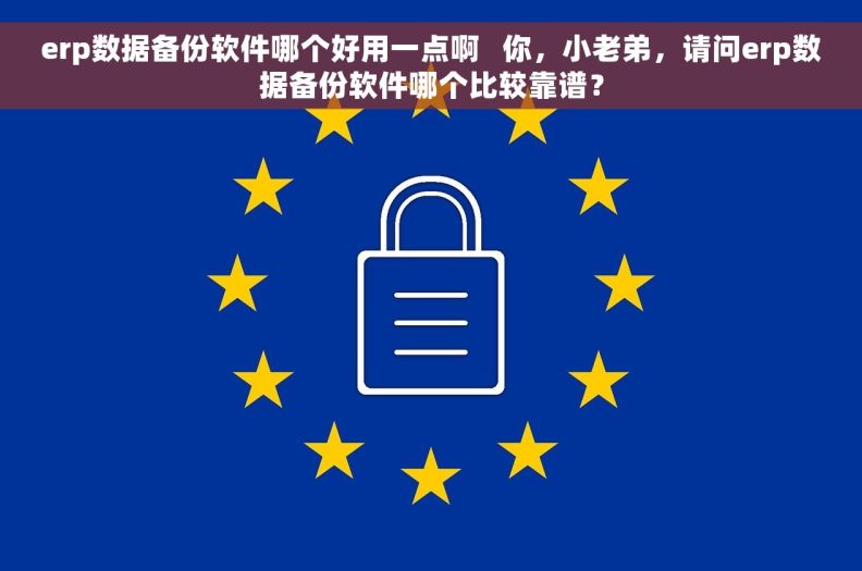 erp数据备份软件哪个好用一点啊   你，小老弟，请问erp数据备份软件哪个比较靠谱？