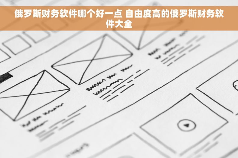 俄罗斯财务软件哪个好一点 自由度高的俄罗斯财务软件大全