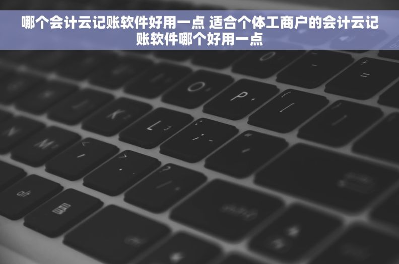 哪个会计云记账软件好用一点 适合个体工商户的会计云记账软件哪个好用一点