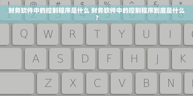 财务软件中的控制程序是什么 财务软件中的控制程序到底是什么？