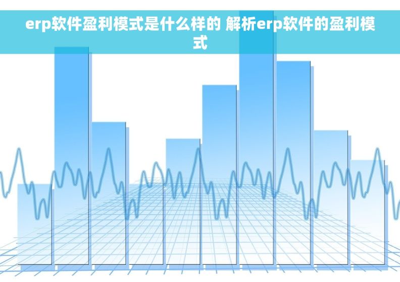 erp软件盈利模式是什么样的 解析erp软件的盈利模式