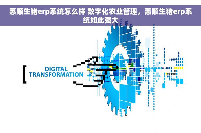 惠顺生猪erp系统怎么样 数字化农业管理，惠顺生猪erp系统如此强大