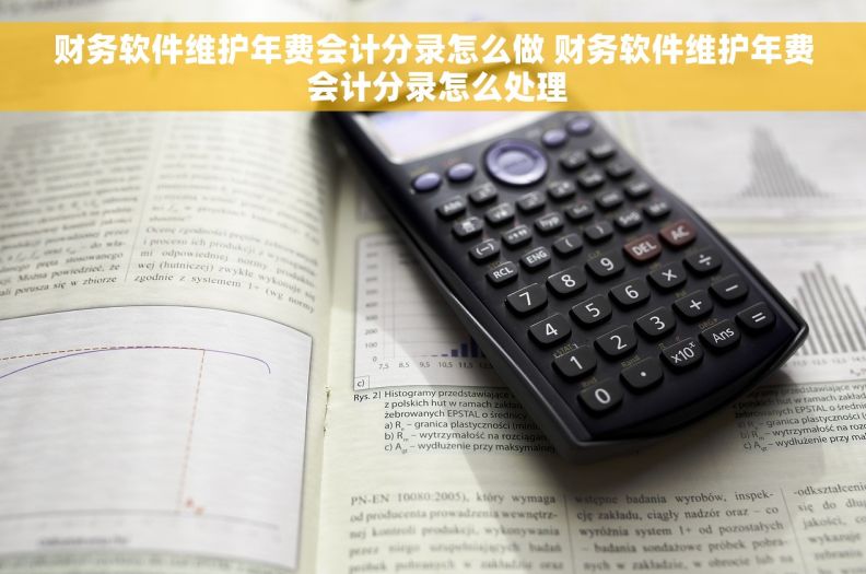 财务软件维护年费会计分录怎么做 财务软件维护年费 会计分录怎么处理