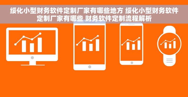 绥化小型财务软件定制厂家有哪些地方 绥化小型财务软件定制厂家有哪些 财务软件定制流程解析