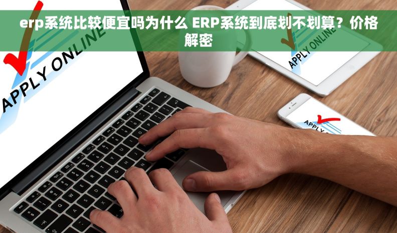 erp系统比较便宜吗为什么 ERP系统到底划不划算？价格解密