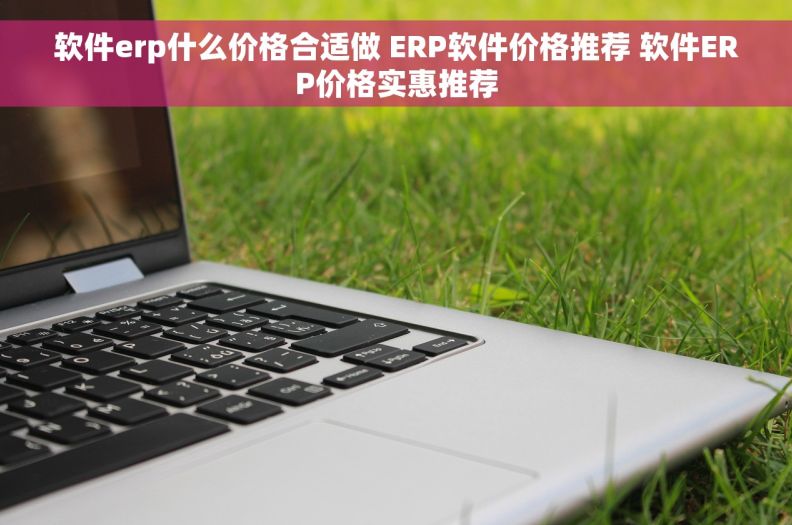 软件erp什么价格合适做 ERP软件价格推荐 软件ERP价格实惠推荐