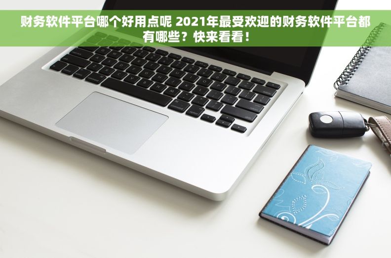 财务软件平台哪个好用点呢 2021年最受欢迎的财务软件平台都有哪些？快来看看！