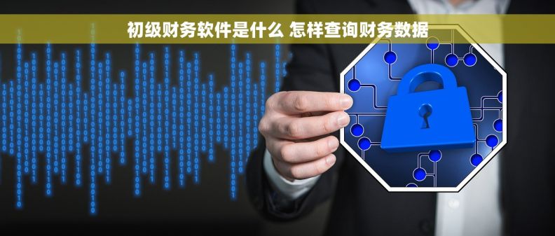 初级财务软件是什么 怎样查询财务数据