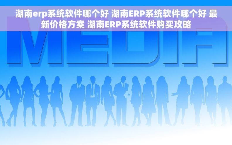 湖南erp系统软件哪个好 湖南ERP系统软件哪个好 最新价格方案 湖南ERP系统软件购买攻略