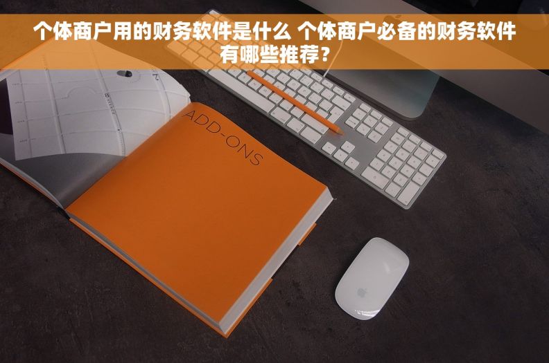 个体商户用的财务软件是什么 个体商户必备的财务软件有哪些推荐？