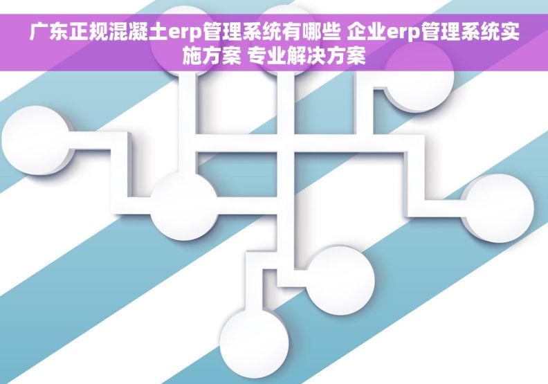 广东正规混凝土erp管理系统有哪些 企业erp管理系统实施方案 专业解决方案