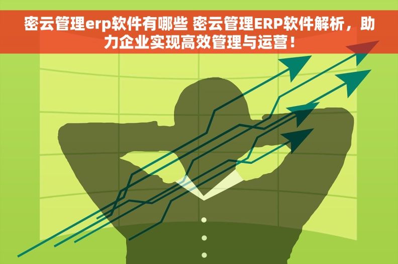 密云管理erp软件有哪些 密云管理ERP软件解析，助力企业实现高效管理与运营！