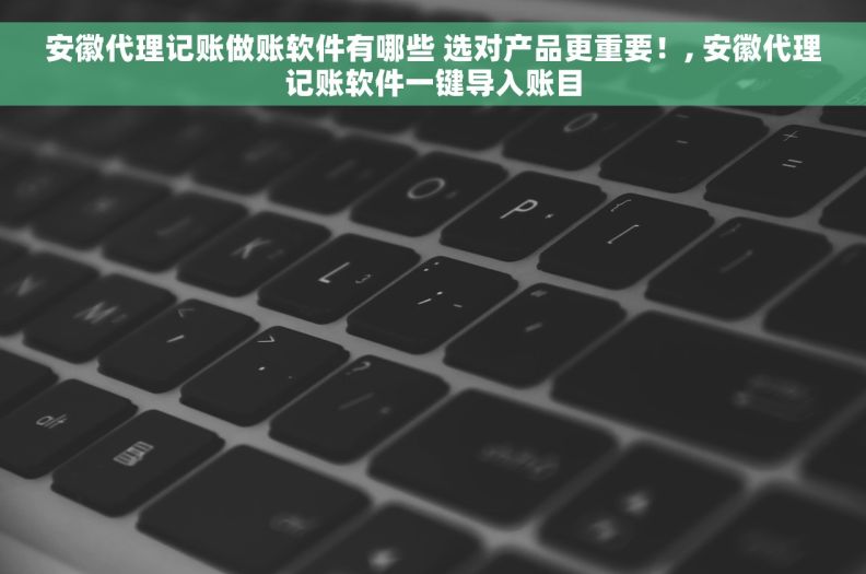 安徽代理记账做账软件有哪些 选对产品更重要！, 安徽代理记账软件一键导入账目