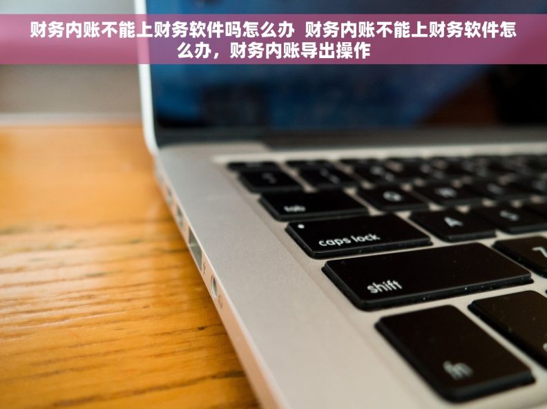 财务内账不能上财务软件吗怎么办  财务内账不能上财务软件怎么办，财务内账导出操作