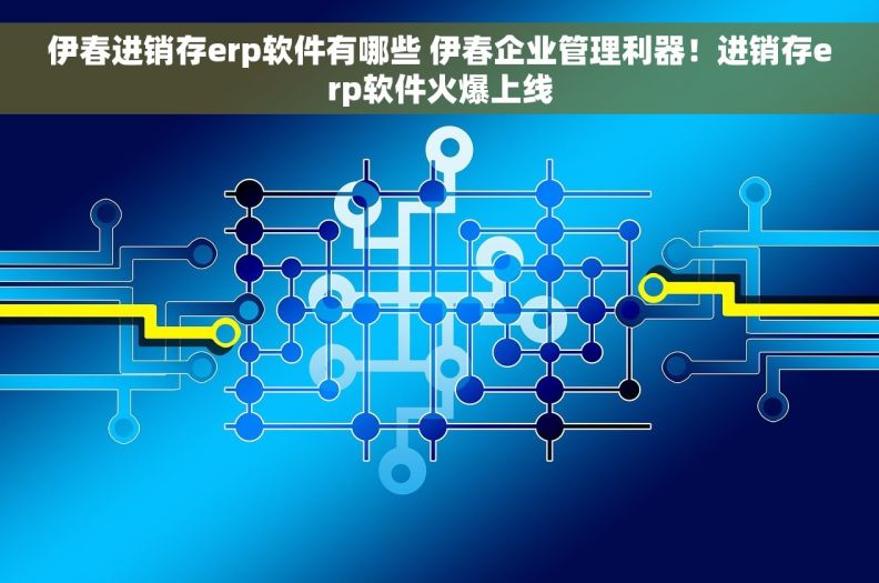 伊春进销存erp软件有哪些 伊春企业管理利器！进销存erp软件火爆上线