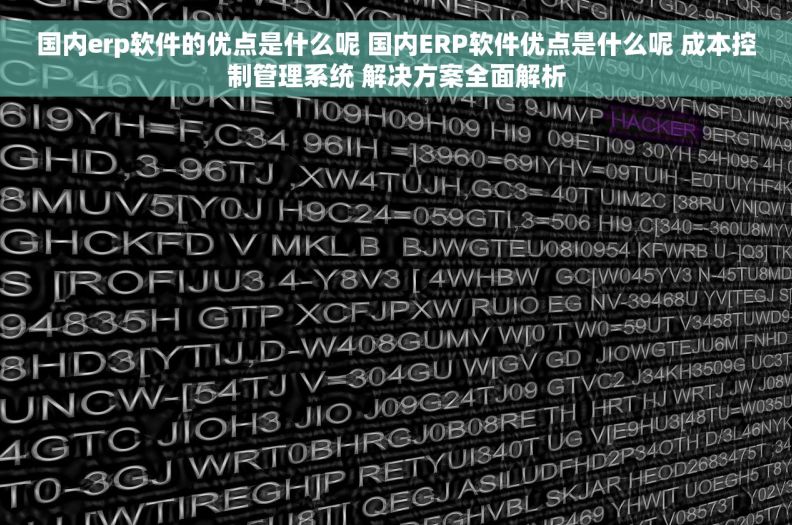 国内erp软件的优点是什么呢 国内ERP软件优点是什么呢 成本控制管理系统 解决方案全面解析