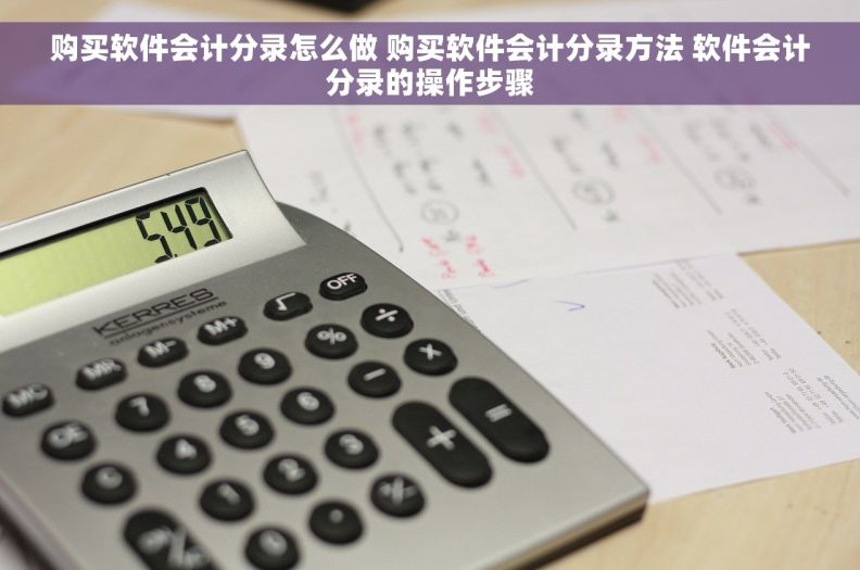 购买软件会计分录怎么做 购买软件会计分录方法 软件会计分录的操作步骤