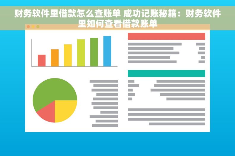 财务软件里借款怎么查账单 成功记账秘籍：财务软件里如何查看借款账单