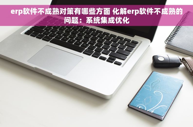 erp软件不成熟对策有哪些方面 化解erp软件不成熟的问题：系统集成优化