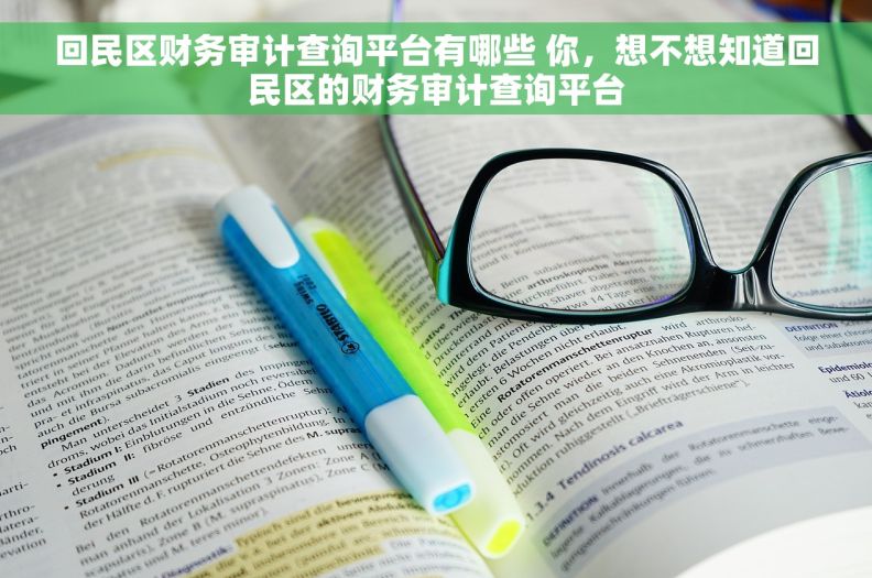 回民区财务审计查询平台有哪些 你，想不想知道回民区的财务审计查询平台