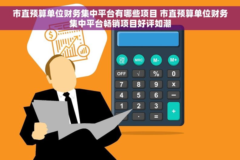 市直预算单位财务集中平台有哪些项目 市直预算单位财务集中平台畅销项目好评如潮