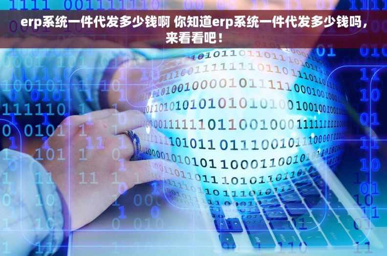 erp系统一件代发多少钱啊 你知道erp系统一件代发多少钱吗，来看看吧！