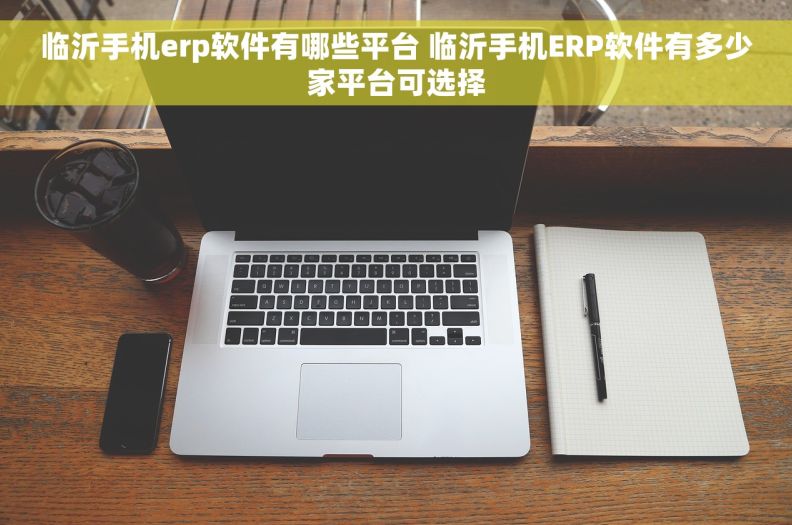 临沂手机erp软件有哪些平台 临沂手机ERP软件有多少家平台可选择