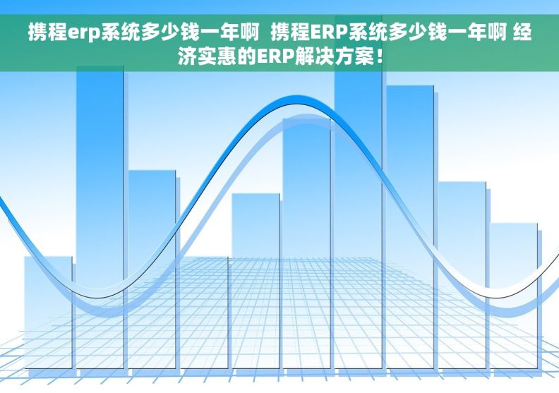 携程erp系统多少钱一年啊  携程ERP系统多少钱一年啊 经济实惠的ERP解决方案！