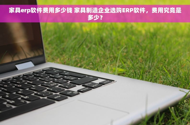 家具erp软件费用多少钱 家具制造企业选购ERP软件，费用究竟是多少？