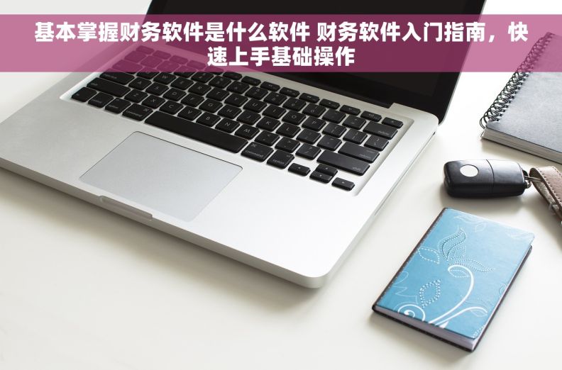 基本掌握财务软件是什么软件 财务软件入门指南，快速上手基础操作