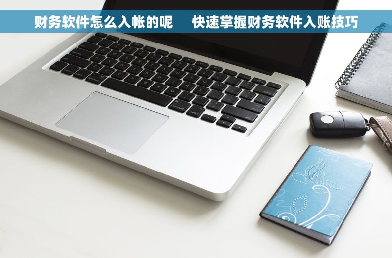 财务软件怎么入帐的呢     快速掌握财务软件入账技巧