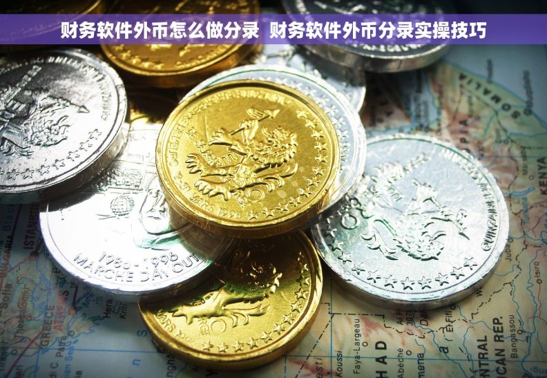 财务软件外币怎么做分录  财务软件外币分录实操技巧