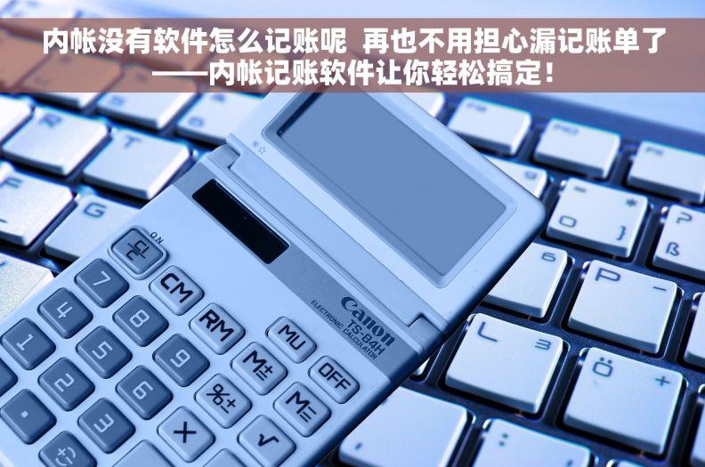 内帐没有软件怎么记账呢  再也不用担心漏记账单了——内帐记账软件让你轻松搞定！