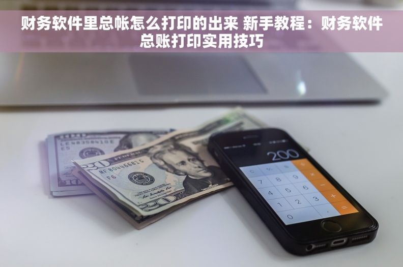 财务软件里总帐怎么打印的出来 新手教程：财务软件总账打印实用技巧