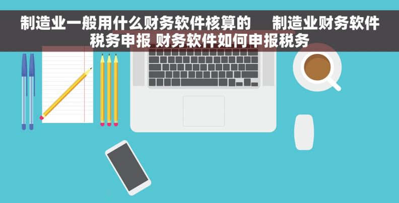 制造业一般用什么财务软件核算的     制造业财务软件税务申报 财务软件如何申报税务