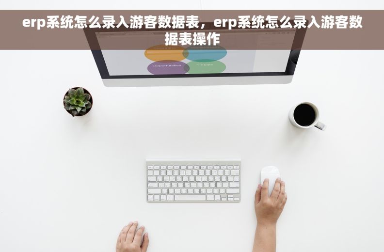 erp系统怎么录入游客数据表，erp系统怎么录入游客数据表操作