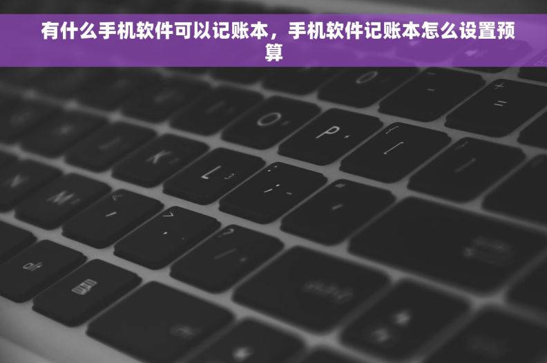   有什么手机软件可以记账本，手机软件记账本怎么设置预算