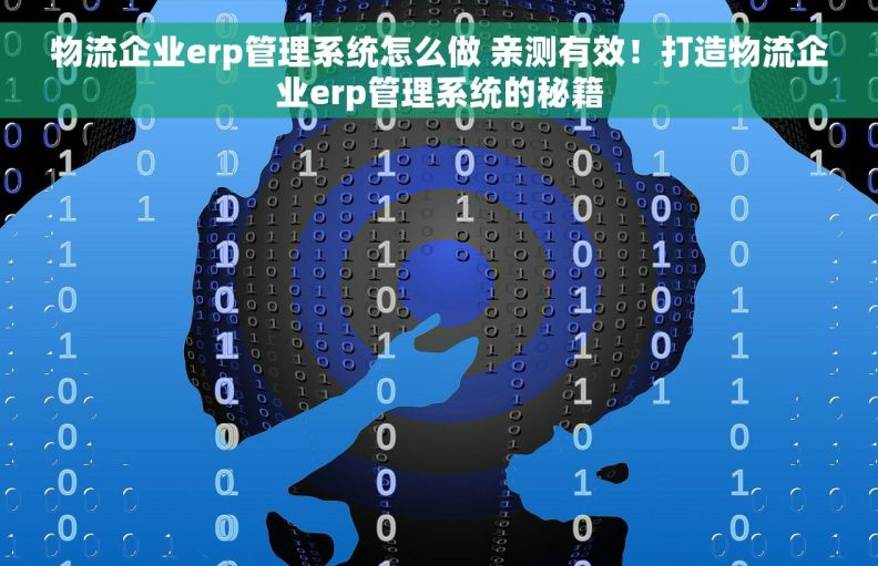 物流企业erp管理系统怎么做 亲测有效！打造物流企业erp管理系统的秘籍