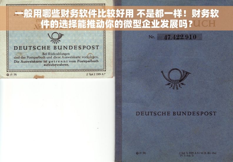 一般用哪些财务软件比较好用 不是都一样！财务软件的选择能推动你的微型企业发展吗？