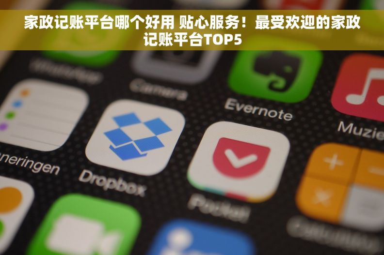 家政记账平台哪个好用 贴心服务！最受欢迎的家政记账平台TOP5