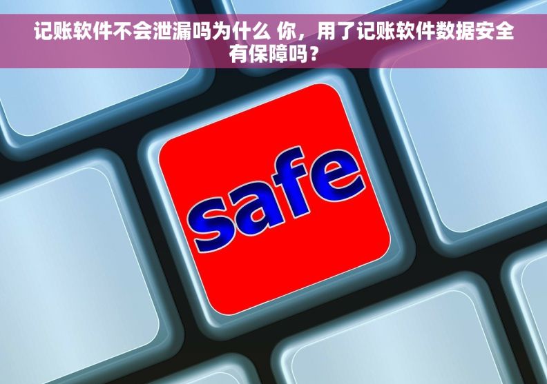 记账软件不会泄漏吗为什么 你，用了记账软件数据安全有保障吗？