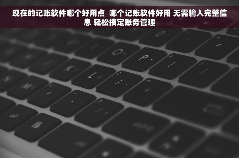 现在的记账软件哪个好用点  哪个记账软件好用 无需输入完整信息 轻松搞定账务管理